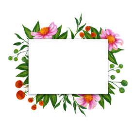 水粉花卉素材花型