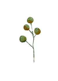 水粉花卉素材花型