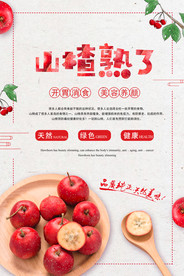 山楂零食美食宣传海报素材