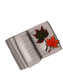 书本 叶子 手绘