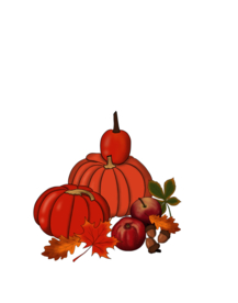 手绘丰收的季节设计插画素材+纹