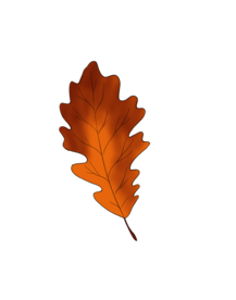 树叶 黄色 卡通