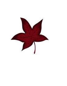 卡通 树叶 枫叶