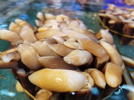海鲜竹蛏