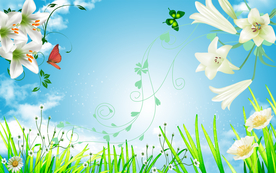 清新花草背景墙