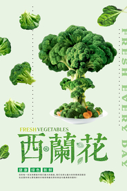 简洁清新西兰花蔬菜宣传海报