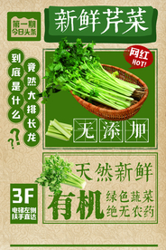 有机芹菜创意美食宣传海报