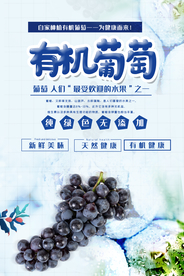 有机葡萄海报