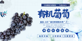 有机葡萄展板