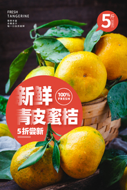 青皮蜜桔水果活动宣传海报