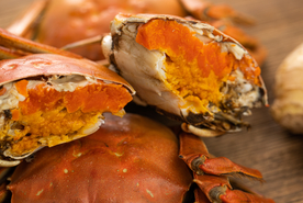 阳澄湖母蟹蟹黄