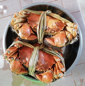大闸蟹