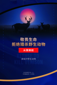 保护生物公益活动宣传海报素材