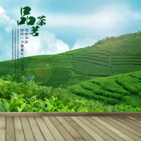 茶叶茶饮活动促销优惠淘宝主图