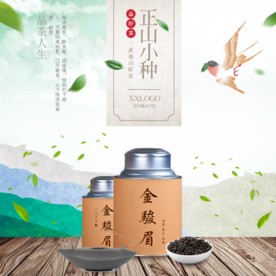 茶叶茶饮活动促销优惠淘宝主图