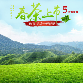 茶叶茶饮活动促销优惠淘宝主图
