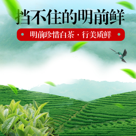 茶叶茶饮活动促销优惠淘宝主图