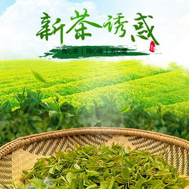 茶叶茶饮活动促销优惠淘宝主图