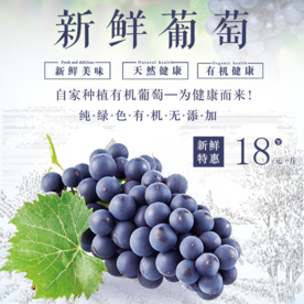 生鲜水果活动促销优惠淘宝主图