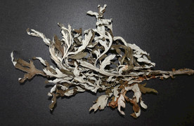 艾叶干艾叶野生艾草艾蒿干艾草