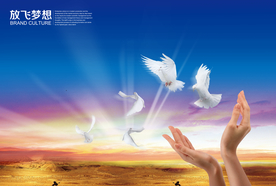 放飞梦想