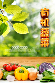 有机蔬菜健康安全海报