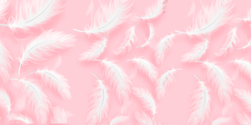 粉色羽毛背景