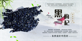 黑枸杞水果活动宣传海报素材