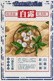 白露节气活动宣传海报素材