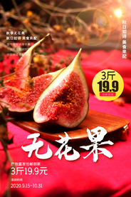 无花果水果活动宣传海报素材