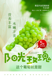 青提水果活动宣传海报素材