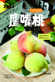 鹰嘴桃水果活动宣传海报素材