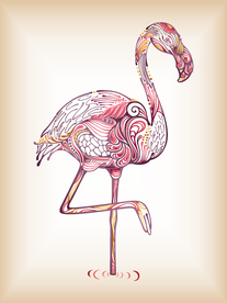 火烈鸟