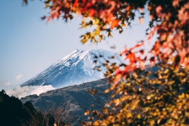 富士山