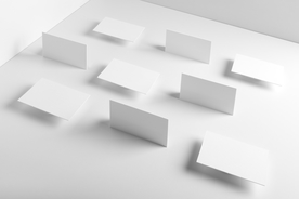 高端大气名名片样机