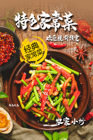 家常菜美食活动海报素材