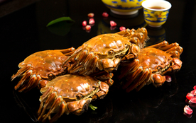 螃蟹美食食材背景素材