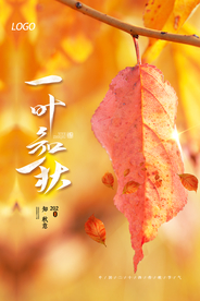 简约一叶知秋宣传海报