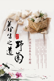 野菌食材养生之道海报