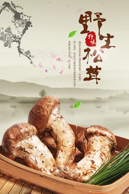 野生松茸土特产海报