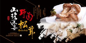 松茸蘑菇野山菌鲜蘑菇海报