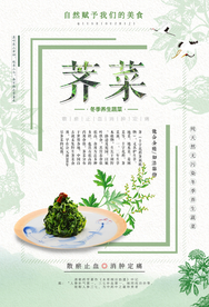 小清新简约荠菜海报