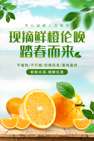 电商助农水果宣传海报素材