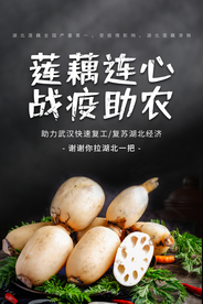 电商助农莲藕宣传海报素材