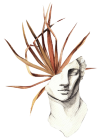 北欧小清新水彩植物图