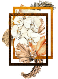 北欧小清新水彩植物图案