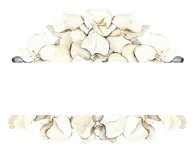 北欧小清新水彩植物图案