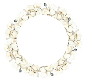 北欧小清新水彩植物图案