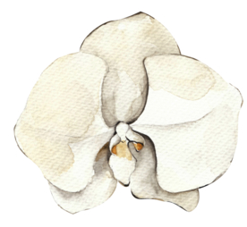 北欧小清新水彩植物图案