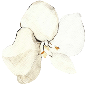 北欧小清新水彩植物图案